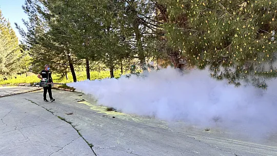 Siirt'te Kent Genelinde İlaçlama Çalışmaları Başladı