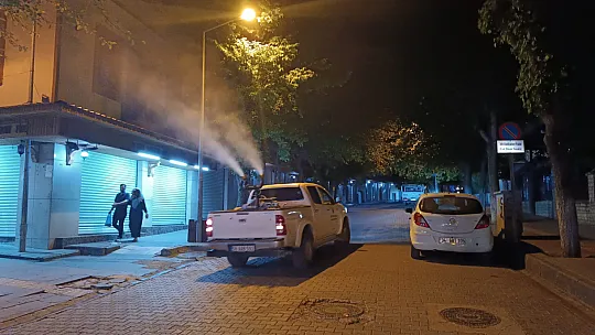 Siirt Belediyesi, Kent Merkezinde İlaçlama Çalışmalarına Hız Verdi!