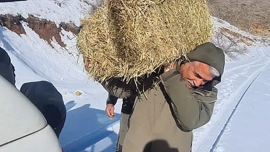 Yaban hayvanları unutulmadı