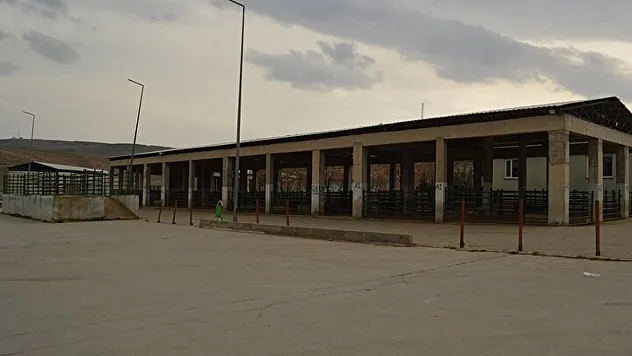 8 İlde Hayvan Pazarları Yeniden Açılıyor: Gözler Siirt'e Çevrildi