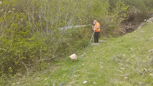 Baykan Belediyesi'nden Bahar Temizliği ve Haşereyle Mücadele Başladı