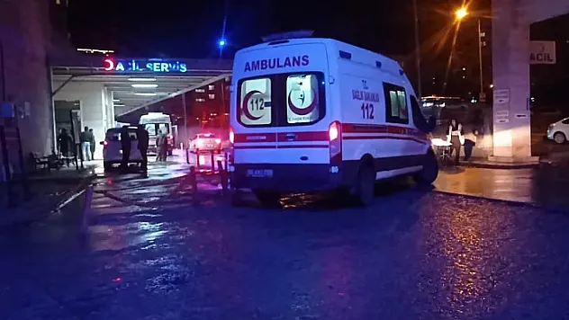 Bitlis-Siirt Karayolunda Feci Kaza: 1'i Çocuk 2 Kişi Hayatını Kaybetti