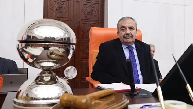 DEM Parti'de Yeni Meclis Başkanvekili Belli Oldu