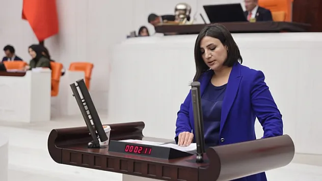 DEM Parti Siirt Milletvekili Sarıtaş, Siirt Eğitim ve Araştırma Hastanesi'ndeki Sorunları Gündeme Taşıdı