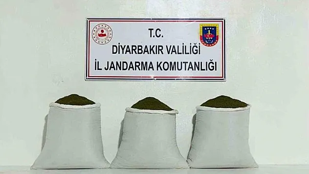 Diyarbakır'da 230 kilo toz esrar ele geçirildi