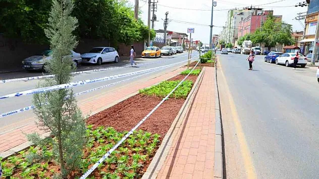 Diyarbakır'da peyzaj çalışmaları sürüyor