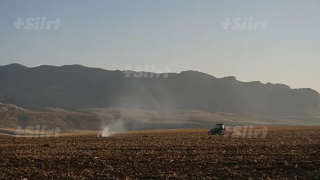 Siirt'te Korkutan Kuraklık Raporu! Tablo Vahim!