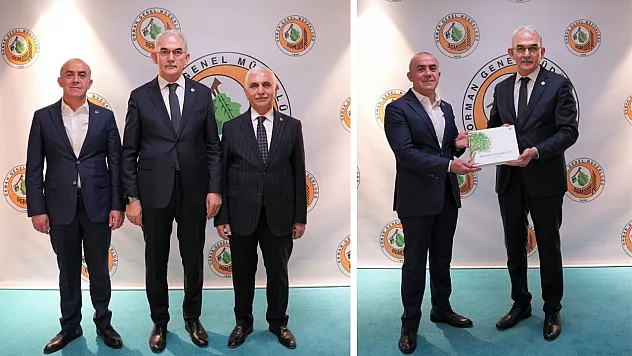 Gökçebağ'ın Geleceği İçin Ankara'da Temaslar: Başkan Çiçek ve Vekil Gül, Orman Genel Müdürlüğü'nde