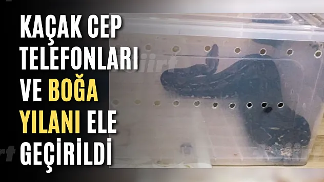 Kaçak cep telefonları ve boğa yılanı ele geçirildi