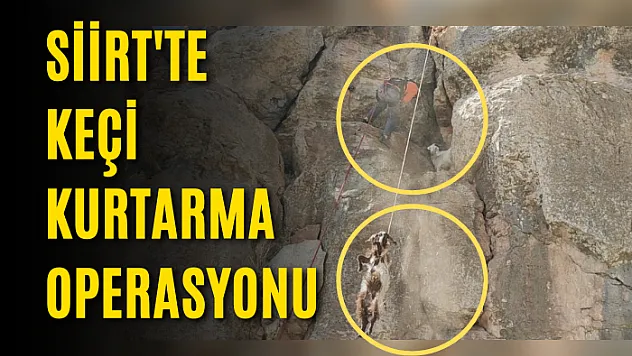Siirt Barosu'nun da Aralarında Bulunduğu 78 Barodan Ortak Açıklama: Savunmaya Saldırı Kabul Edilemez