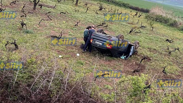 Kurtalan'da Trafik Kazası: Otomobil Üzüm Bağına Uçtu, 3 Kişi Yaralandı