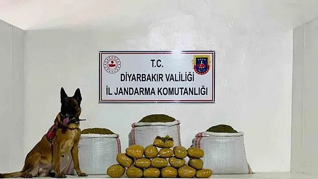 Lice'de 76 kilo toz esrar ele geçirildi