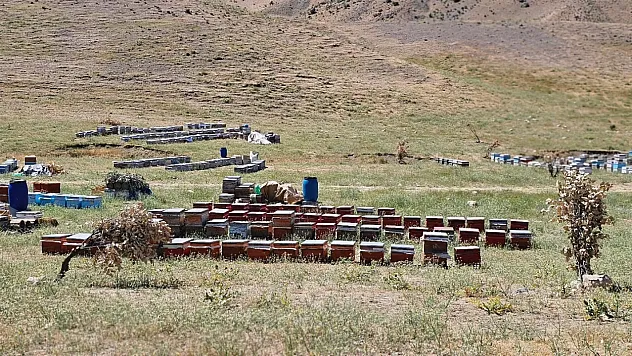 Pervari Balı, Türkiye'nin Sınırlarını Aşarak Dünya Markası Olacak