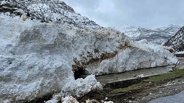 Pervari-Çatak yolu çığ nedeniyle ulaşıma kapandı