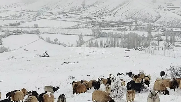 Siirt'in Bazı Bölgelerinde Kar Yağışı Başladı!