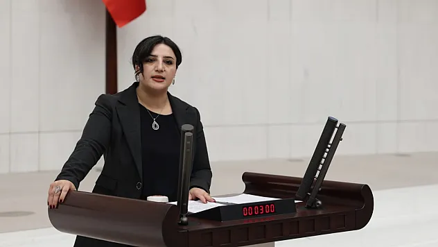 Siirt Milletvekili Sabahat Erdoğan Sarıtaş, Siirt'te Yaşanan Şüpheli Kadın Ölümlerini Meclis Gündemine Taşıdı