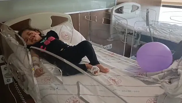 Siirt'te 5'inci Kattan Otomobilin Üzerine Düşen Rabia Asel'in Durumu İyiye Gidiyor
