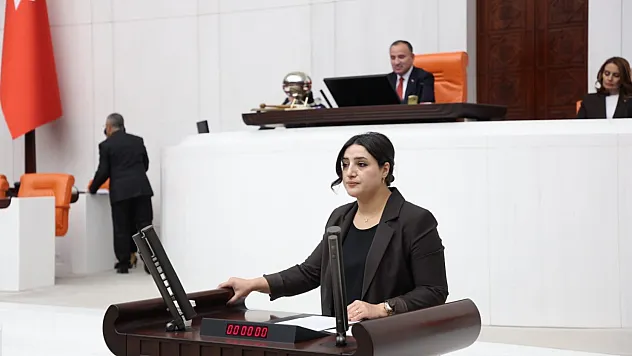 Siirt'te artan intihar vakaları meclis gündeminde