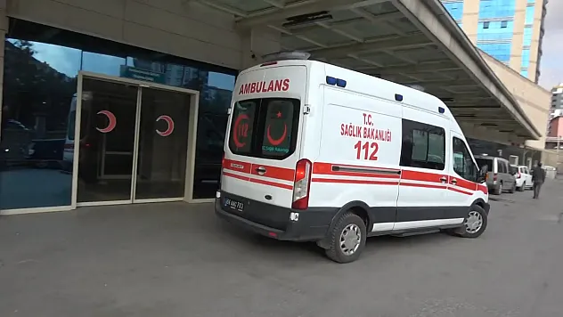 Siirt'te At Tepmesi Sonucu Yaralanan Zerda Çelik Yoğun Bakımda