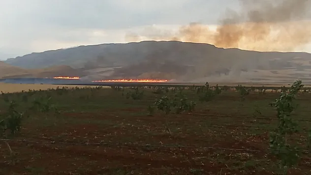 Siirt'te Buğday Tarlasında Yangın