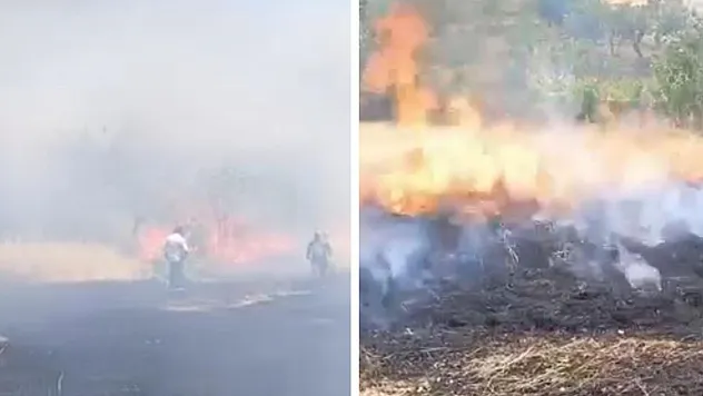 Siirt'te Çay İçin Yakılan Ateş Fıstık Bahçesini Kül Etti