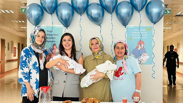 Siirt'te Dünya Emzirme Haftası İçin Anlamlı Etkinlik