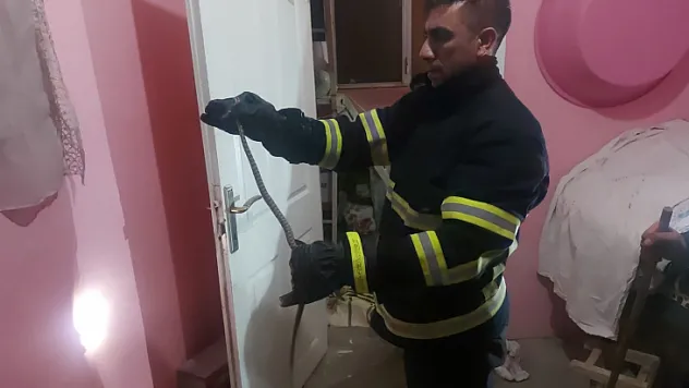 Siirt'te Eve Giren Yılanı İtfaiye Ekipleri Çıkardı