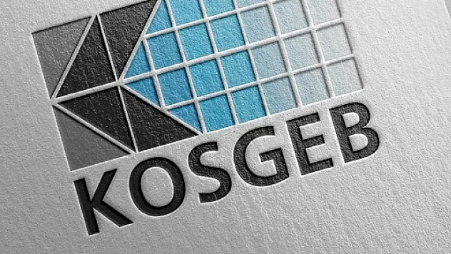 Siirt'te Girişimcilere Dev Destek: KOSGEB'ten 2025'in İlk 3 Ayında Yaklaşık 65 Milyon TL'lik Hibe!