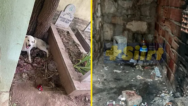 Siirt'te Madde Bağımlılarının Uyuşturucu Kullanmak İçin Seçtikleri Adres Hayrete Düşürdü! Yeni Durak Mezarlıklar!
