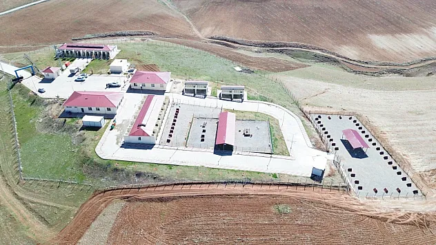 Siirt'te Sokak Hayvanları İçin Örnek Proje: Modern Barınak Sokak Hayvanlarına Hizmet Veriyor