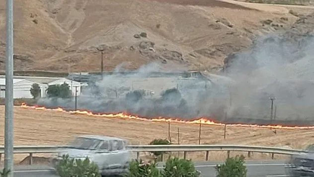 Siirt Üniversitesi Kezer Yerleşkesi Mevkiinde Anız Yangını: Rüzgarın Etkisiyle Büyüyen Alevler DEDAŞ Deposuna Sıçradı