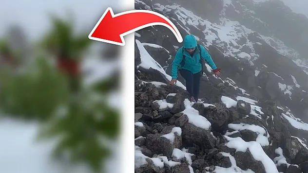Siirtli Doğa Sever, Kar Altındaki Ters Laleleri Görmek İçin 7 Kilometreyi 2 Saatte Yürüdü