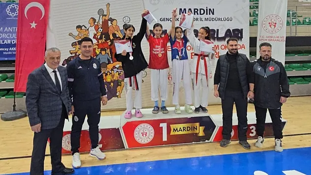 Siirtli Taekwondo Sporcuları Türkiye Finallerine Yükseldi