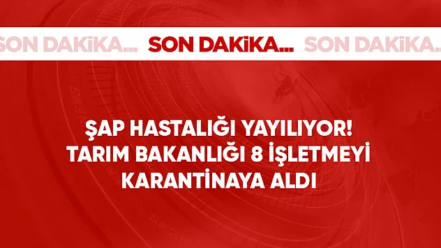 Türkiye'de şap alarmı! Hayvan pazarları kapatıldı, nakiller yasaklandı, tüm izinler iptal edildi