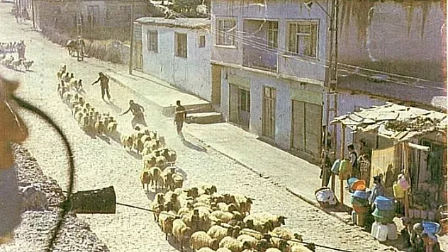 Sürü Filminin Pervari'de Çekilen Unutulmaz Sahnesi ve Siirt'in Sinema Tarihindeki Yeri