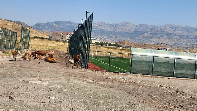 Veysel Karani'de Saha Yapıldı, Çevre Düzenlemesi Unutuldu
