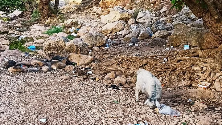 Siirt'in Göz Bebeği Çöp Yığını İçinde