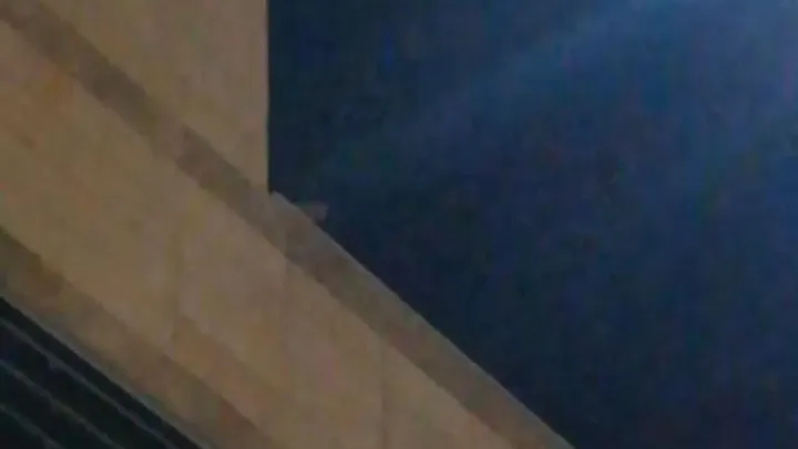 Siirt Eğitim ve Araştırma Hastanesi Çatısında 1 Haftadır Mahsur Kalan Kedi Kurtarılmayı Bekliyor!