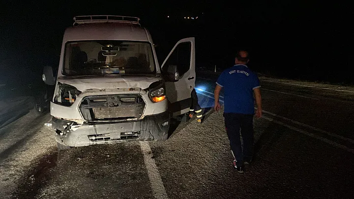 Siirt'te Trafik Kazası: Araç Eşeğe Çarptı, Eşek Telef Oldu