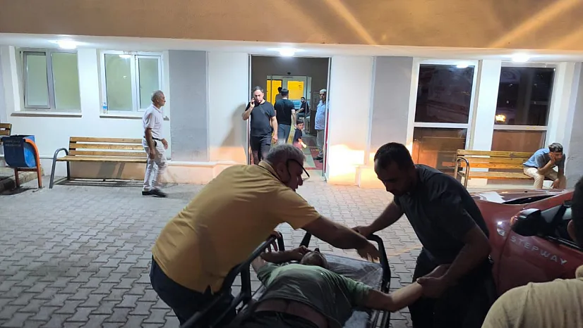Siirt Kayabağlar Beldesi'nde Ağaçtan Düşen Akif Polat Hastaneye Kaldırıldı