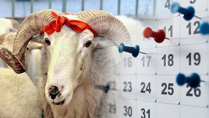 2025 Kurban Bayramı Tatili Belli Oldu! İşte Tatil Olan Günler
