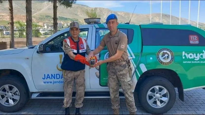 Jandarmadan Yaban Hayata Destek: Yaralı Kuşlar Koruma Altına Alındı