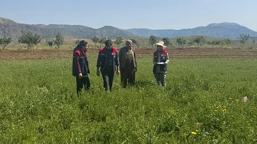 Pervari'de Yem Bitkisi Alanları İçin Sahada İnceleme Başladı