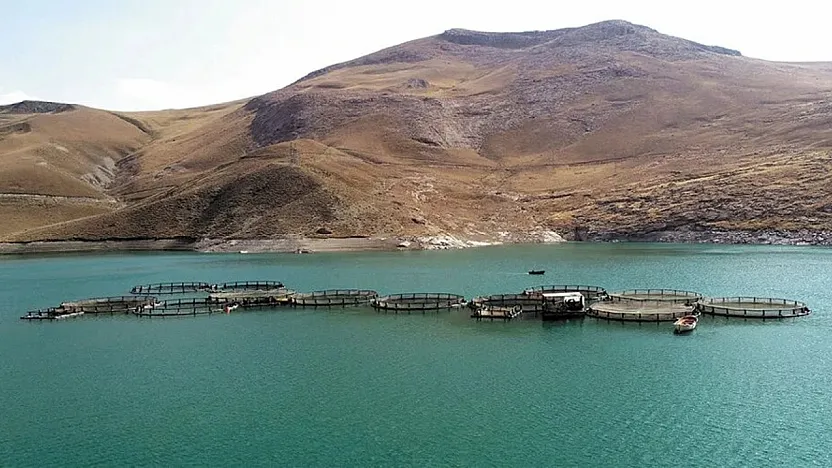 Siirt Belediyesi Duyurdu! Siirt Ilısu Barajında 2 Balık Avlak Alanı Kiraya Çıkıyor: 5 Yıllık İhale Fırsatı!