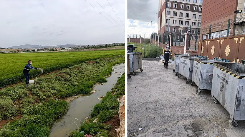 Siirt Belediyesi Yaz Öncesi Haşereyle Mücadeleye Hız Verdi