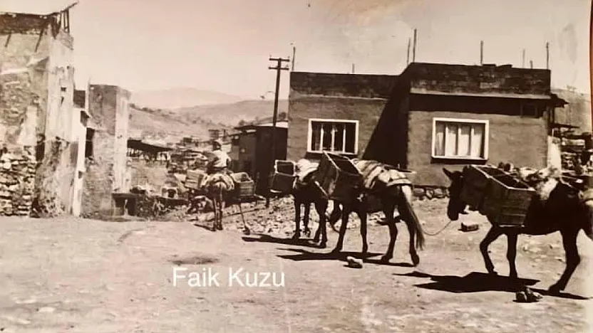 Siirt'in Geçmişinden Renkli Bir Kare: Çöpleri Eşekler Taşırdı