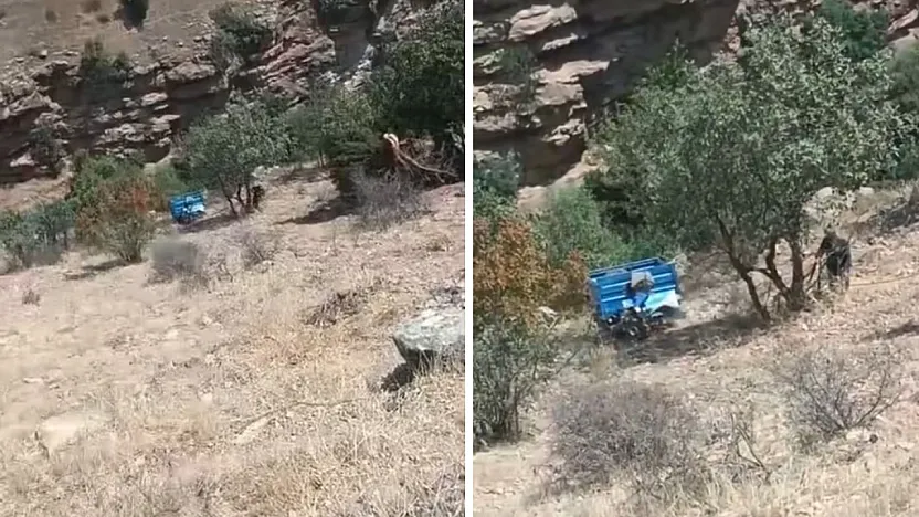 Siirt'in Pervari İlçesinde Patpat Şarampole Yuvarlandı: Sürücü Kaza Anında Araçtan Atladı