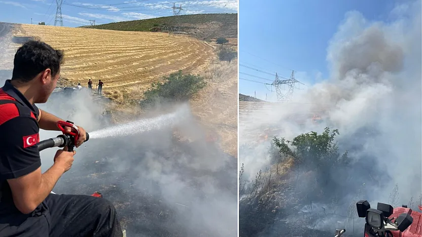 Siirt OSB'de 60 Dönümlük Alan Yandı! Bir Karganın Çarpmasıyla Başlayan Yangında 30 Dönüm Arpa Kül Oldu!