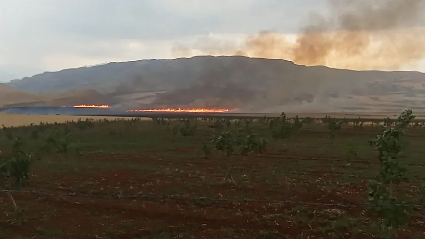 Siirt'te Buğday Tarlasında Yangın