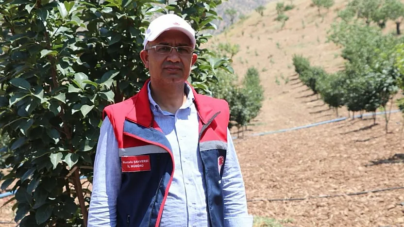 Siirt'te Çiftçilere 10 Bin Adet Trabzon Hurması Fidanı Dağıtılacak